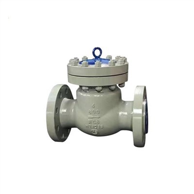 Injap Periksa Swing Tekanan Tinggi